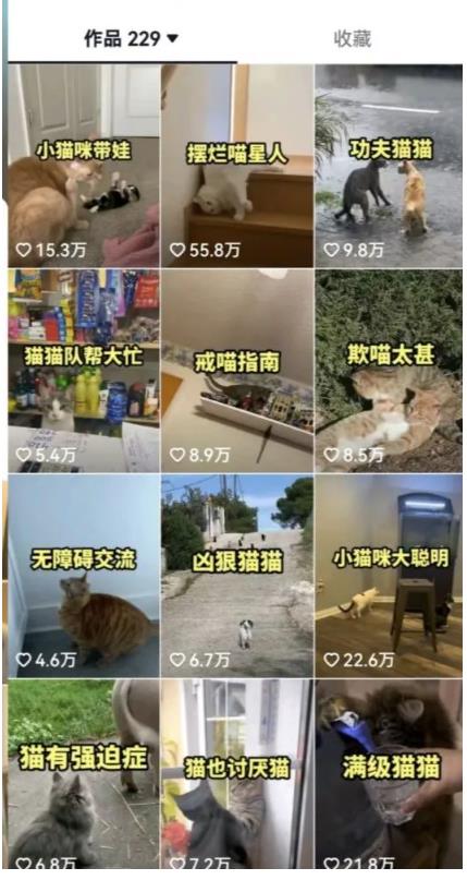 拆解：抖音盘点类中视频变现副业项目，视频版一条龙大解析分享给你-学习资源库