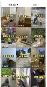 拆解抖音盘点类中视频变现副业项目，视频版一条龙大解析分享给你【视频课程】-学习资源库