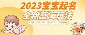 2023宝宝起名全新蓝海玩法,冷门暴力小白实操,日入1000+(全套教程)【揭秘】-学习资源库