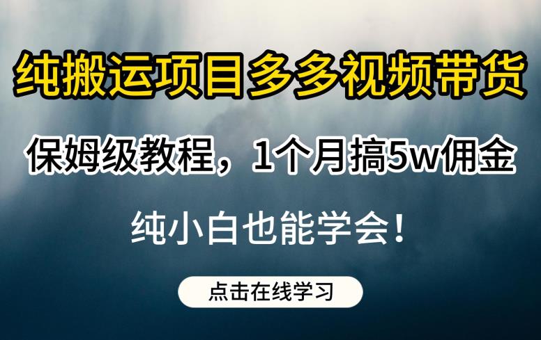 纯搬运项目多多视频带货保姆级教程，1个月搞5w佣金，纯小白也能学会【揭秘】-学习资源库