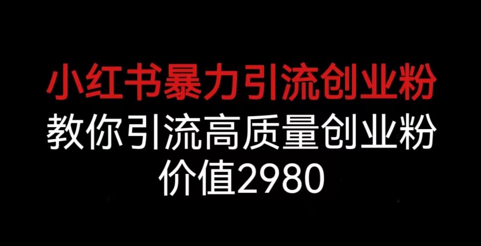 小红书暴力引流创业粉，教你引流高质量创业粉，价值2980【揭秘】-学习资源库