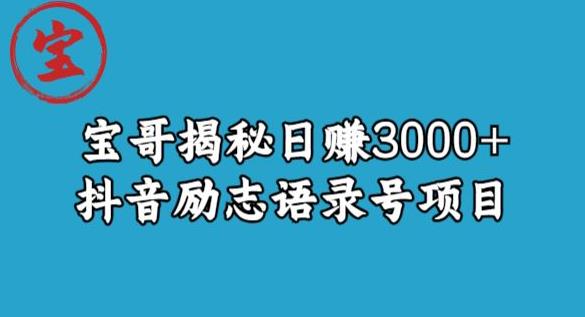 宝哥揭秘日赚3000+抖音励志语录号短视频变现项目-学习资源库