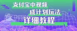 避坑玩法:支付宝中视频分成计划玩法实操详解【揭秘】-学习资源库