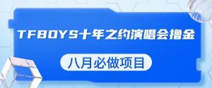 最新蓝海项目，靠最近非常火的TFBOYS十年之约演唱会流量掘金，八月必做的项目【揭秘】-学习资源库