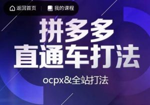 互力·拼多多直通车打法,ocpx&全站打法-学习资源库