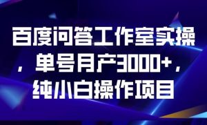 百度问答工作室实操，单号月产3000+，纯小白操作项目【揭秘】-学习资源库
