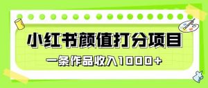 最新蓝海项目，小红书颜值打分项目，一条作品收入1000+【揭秘】-学习资源库