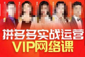 推易拼多多VIP全套直播课程,拼多多店铺实操玩法+实战玩法选款内功+直通车高阶等-学习资源库