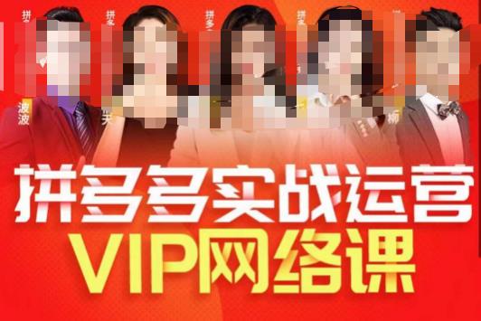 推易拼多多VIP全套直播课程，拼多多店铺实操玩法+实战玩法选款内功+直通车高阶等-学习资源库