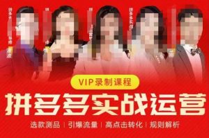 2023推易拼多多实战运营，选款测品、引爆流量、高点击转化、规则解析-学习资源库