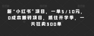 新“小红书”项目,一单5/10元,0成本搬砖项目,抓住开学季,一天狂卖300单【揭秘】-学习资源库