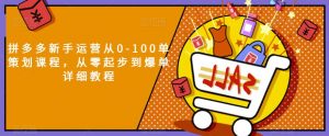 拼多多新手运营从0-100单策划课程,从零起步到爆单详细教程-学习资源库