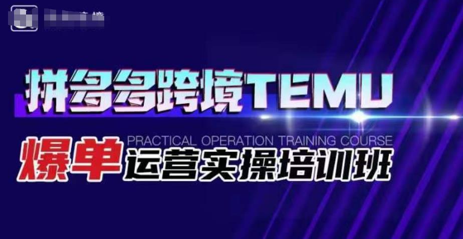 拼多多跨境TEMU爆单运营实操培训班，海外拼多多的选品、运营、爆单-学习资源库