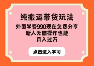 纯搬运带货玩法,外面学费990现在免费分享,新人无脑操作也能月入过万【揭秘】-学习资源库