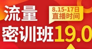 秋秋线上流量密训班19.0,打通流量关卡,线上也能实战流量破局-学习资源库