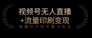 全网首发视频号不封号无人直播暴利玩法+流量印刷机变现,日入1000+【揭秘】-学习资源库