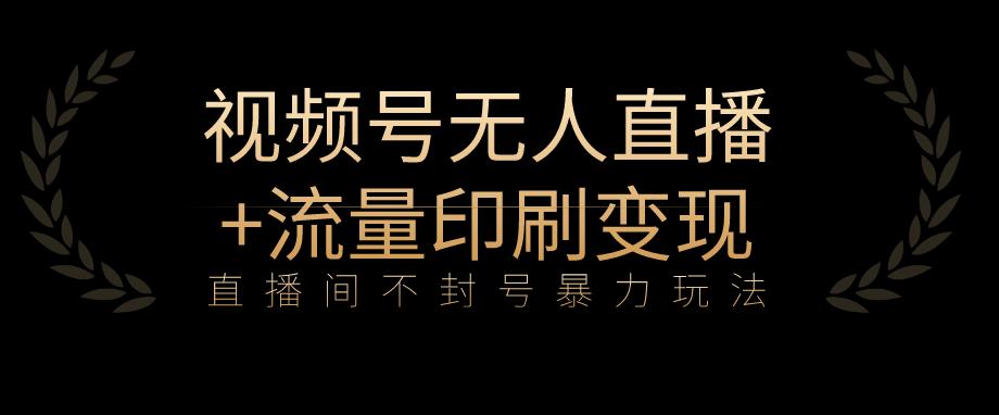 全网首发视频号不封号无人直播暴利玩法+流量印刷机变现，日入1000+【揭秘】-学习资源库