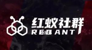 社群运营:红蚁社群【48节落地系统课程+2000人高端社群】-学习资源库