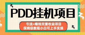 拼多多挂机项目引流+赚钱双重收益项目(保姆级教程小白可上手实操)【揭秘】-学习资源库