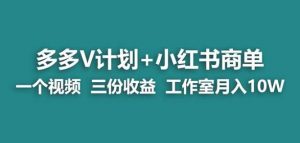 【蓝海项目】多多v计划+小红书商单一个视频三份收益工作室月入10w-学习资源库