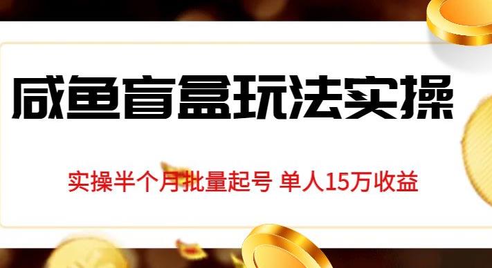 独家首发咸鱼盲盒玩法实操，半个月批量起号单人15万收益【揭秘】-学习资源库