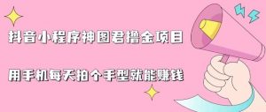 抖音小程序神图君撸金项目,用手机每天拍个手型挂载一下小程序就能赚钱【揭秘】-学习资源库