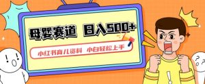 小红书育儿资料，一部手机可操作，多种变现方式，日入500+，私域变现，长期可持续项目【揭秘】-学习资源库