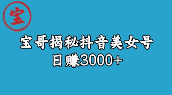 宝哥揭秘抖音美女号玩法，日赚3000+【揭秘】-学习资源库