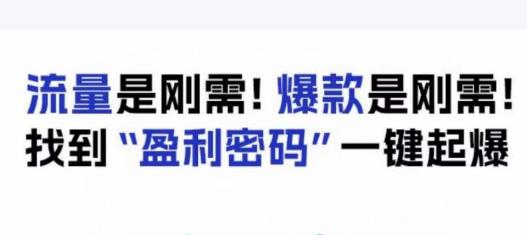 电商盈利精品课：6大盈利密码让产品更好卖，流量是刚需！爆款是刚需！找到”盈利密码”一键起爆-学习资源库