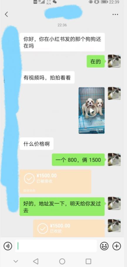 外边收费3980的同城萌宠项目，用最冷门的玩法冲击最热门的市场【揭秘】-学习资源库