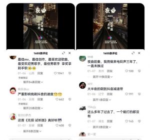 副业拆解:抖音杰伦音乐号涨粉变现项目,视频版一条龙实操玩法分享给你-学习资源库
