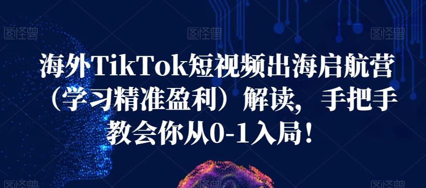 海外TikTok短视频出海启航营（学习精准盈利）解读，手把手教会你从0-1入局！-学习资源库