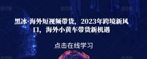 黑冰·海外短视频带货,2023年跨境新风口,海外小黄车带货新机遇-学习资源库