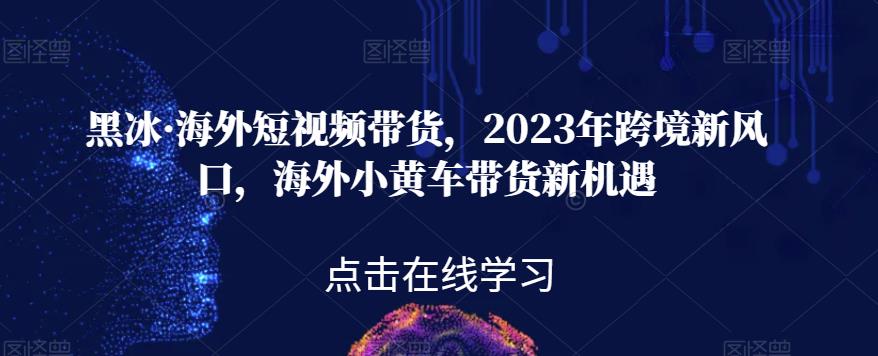 黑冰·海外短视频带货，2023年跨境新风口，海外小黄车带货新机遇-学习资源库