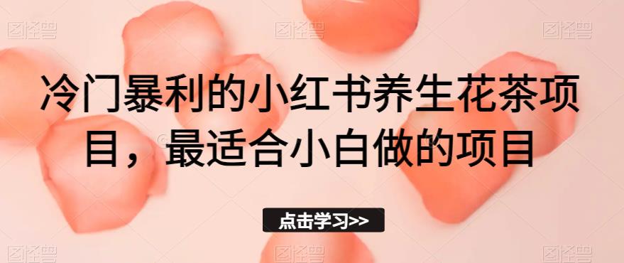 冷门暴利的小红书养生花茶项目，最适合小白做的项目【揭秘】-学习资源库