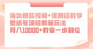 海外爆款视频+保姆级教学,壁纸号项目最新玩法,月入10000+教你一步到位【揭秘】-学习资源库