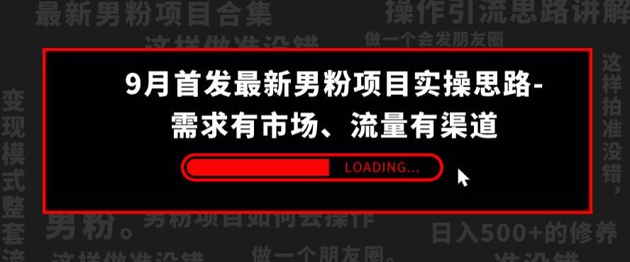 9月首发最新男粉项目实操思路-需求有市场，流量有渠道【揭秘】-学习资源库