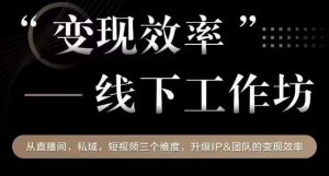 变现效率线下工作坊,从播直间、私域、视短频个三维度,升级IP和团队变现效率-学习资源库
