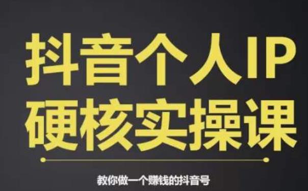 个人IP创富系统实战课，商业定位，流量打造，短视频变现，教你做个赚钱的抖音号-学习资源库