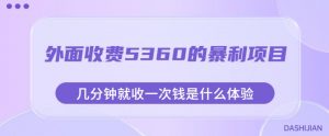 外面收费5360的暴利项目,几分钟就收一次钱是什么体验,附素材【揭秘】-学习资源库
