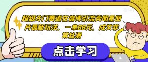 超级冷门赛道在微博引流卖明星图片最新玩法,一单88元,成交非常丝滑【揭秘】-学习资源库