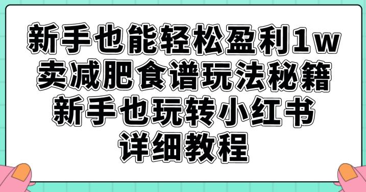 新手也能轻松盈利1w，卖减肥食谱玩法秘籍，新手也玩转小红书详细教程【揭秘】-学习资源库