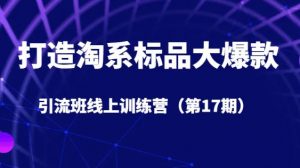 打造淘系标品大爆款引流班线上训练营(第17期)5天直播授课-学习资源库
