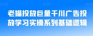 老猫投放巨量千川广告投放学习实操系列基础逻辑-学习资源库