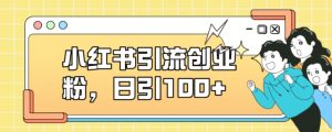 小红书引流创业粉,日引100+【揭秘】-学习资源库