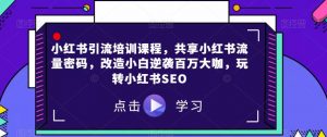 小红书引流培训课程,共享小红书流量密码,改造小白逆袭百万大咖,玩转小红书SEO-学习资源库
