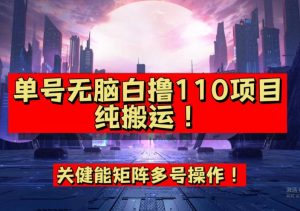 9月全网首发,单号直接白撸110!可多号操作,无脑搬运复制粘贴【揭秘】-学习资源库
