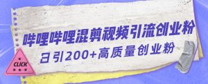 哔哩哔哩B站混剪视频引流创业粉日引300+-学习资源库