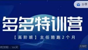 纪主任·多多特训营高阶班【9月13日更新】,拼多多最新玩法技巧落地实操-学习资源库