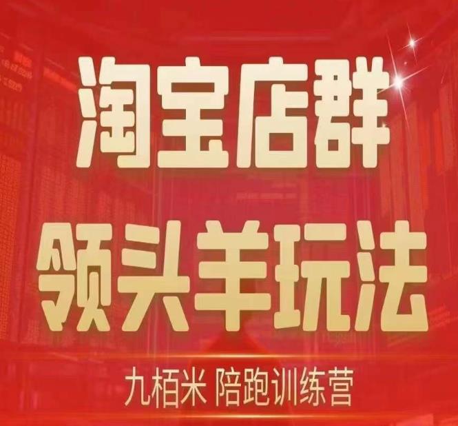 九栢米-淘宝店群领头羊玩法，教你整个淘宝店群领头羊玩法以及精细化/终极蓝海/尾销等内容-学习资源库